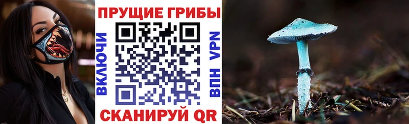 Псилоцибиновые грибы GOLDEN TEACHER Усолье-Сибирское